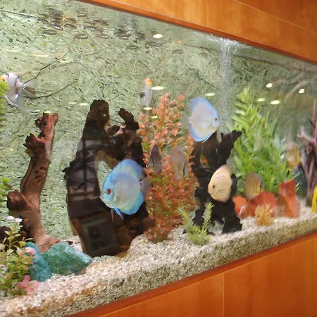 Hotel Montemar Maritim