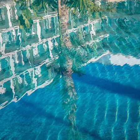 Atzavara & Hotel 5*